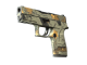 P250 | Modern Hunter (Well-Worn)