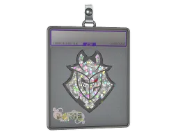 Sticker Slab | G2 Esports (Glitter) | Paris 2023