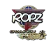 Sticker | ropz (Glitter, Champion) | Antwerp 2022 CS2 skin