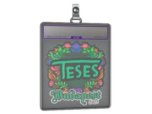 Sticker Slab | TeSeS (Embroidered) | Budapest 2025