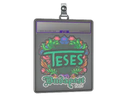 Sticker Slab | TeSeS (Embroidered) | Budapest 2025