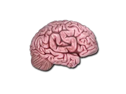 Sticker | CS On The Mind