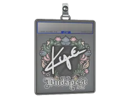 Sticker Slab | kye | Budapest 2025