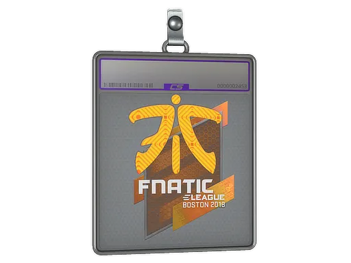 Sticker Slab | Fnatic (Holo) | Boston 2018