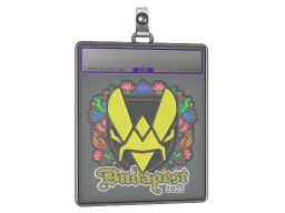 Sticker Slab | Vitality (Embroidered) | Budapest 2025