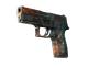 P250 | Supernova (Well-Worn)