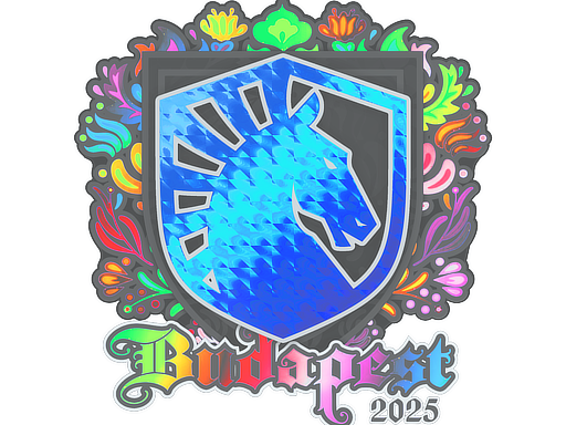 Sticker | Team Liquid (Holo) | Budapest 2025