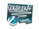Sticker | coldzera | Cologne 2015 CS2 skin