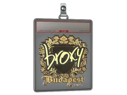 Sticker Slab | broky (Gold) | Budapest 2025
