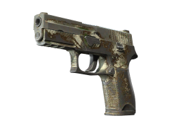 P250 | Bone Mask (Battle-Scarred)