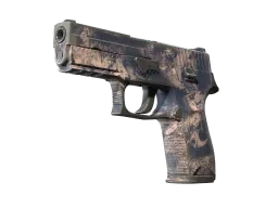 P250 | Drought CS2 skin