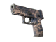 P250 | Drought (Well-Worn)