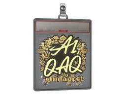 Sticker Slab | EmiliaQAQ (Gold) | Budapest 2025