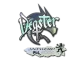 Sticker | degster | Antwerp 2022 CS2 skin