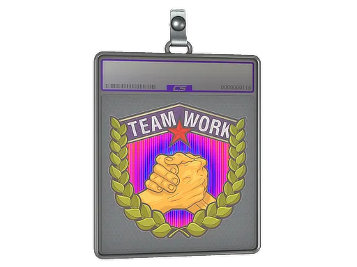 Sticker Slab | Teamwork (Holo)