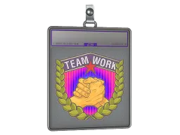 Sticker Slab | Teamwork (Holo)