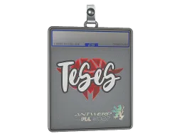Sticker Slab | TeSeS | Antwerp 2022