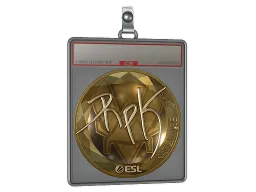 Sticker Slab | RpK (Gold) | Katowice 2019