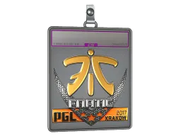 Sticker Slab | Fnatic (Foil) | Krakow 2017