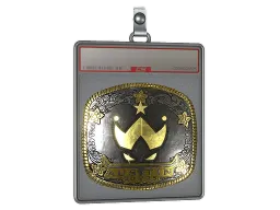 Sticker Slab | Wildcard (Gold) | Austin 2025