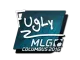 Sticker | FugLy | MLG Columbus 2016 CS2 skin