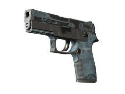 P250 | Forest Night (Battle-Scarred)