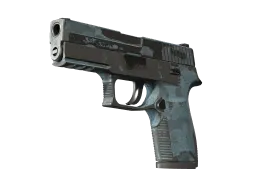 P250 | Forest Night (Battle-Scarred)