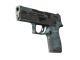 P250 | Forest Night (Battle-Scarred)