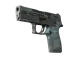 P250 | Forest Night CS2 skin