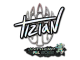 Sticker | tiziaN (Glitter) | Antwerp 2022