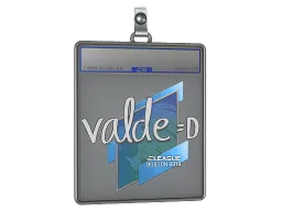 Sticker Slab | v4lde | Boston 2018