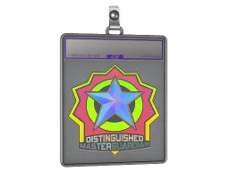 Sticker Slab | Distinguished Master Guardian (Holo)