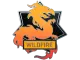 Wildfire Pin CS2 skin
