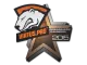 Sticker | Virtus.Pro | Cluj-Napoca 2015 CS2 skin
