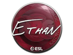 Sticker | Ethan | Katowice 2019 CS2 skin