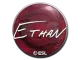 Sticker | Ethan | Katowice 2019 CS2 skin