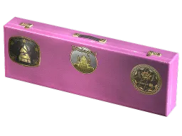 Budapest 2025 Dust II Souvenir Package