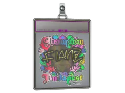 Sticker Slab | FlameZ (Holo, Champion) | Budapest 2025