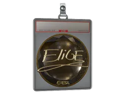 Sticker Slab | EliGE (Gold) | Katowice 2019