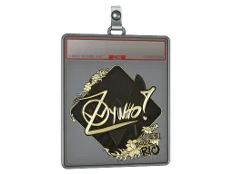 Sticker Slab | ZywOo (Gold) | Rio 2022