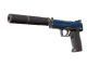 USP-S | Royal Guard (Well-Worn)