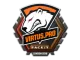Sticker | Virtus.Pro | London 2018 CS2 skin