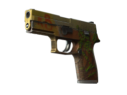 P250 | Inferno (Battle-Scarred)