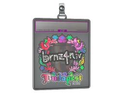 Sticker Slab | brnz4n (Holo) | Budapest 2025