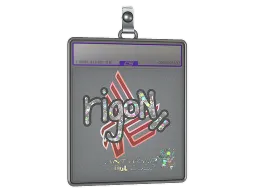 Sticker Slab | rigoN (Glitter) | Antwerp 2022