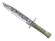 ★ Bayonet | Freehand CS2 skin