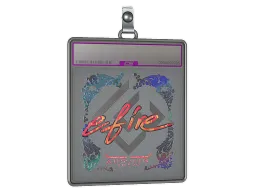 Sticker Slab | efire (Holo) | Austin 2025
