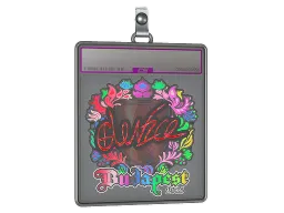 Sticker Slab | device (Holo) | Budapest 2025