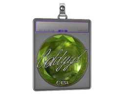 Sticker Slab | COLDYY1 (Foil) | Katowice 2019