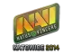 Sticker | Natus Vincere | Katowice 2014 CS2 skin
